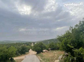 أرض في قطعة ارض مميزة في عجلون - رأس منيف بجوار غابة  - 135,000 دأ - صورة NaN