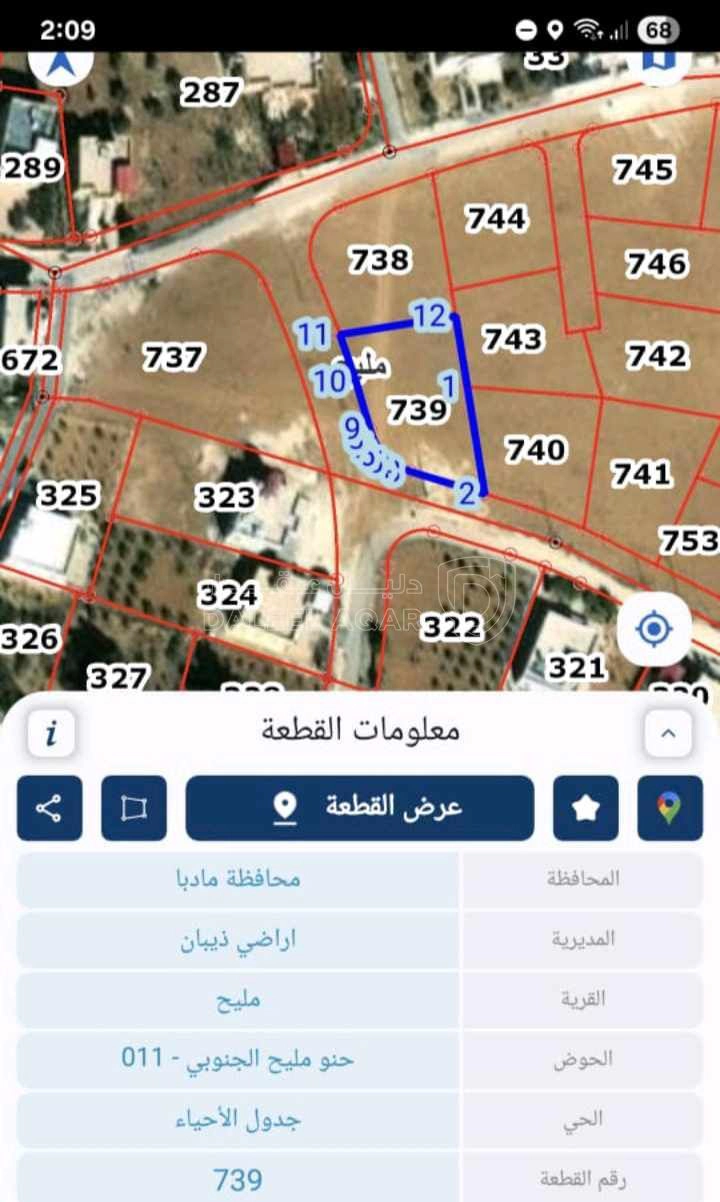 أرض في محافظة مادبا / لواء ذيبان /قضاء مليح  - 25,000 دأ - صورة 1