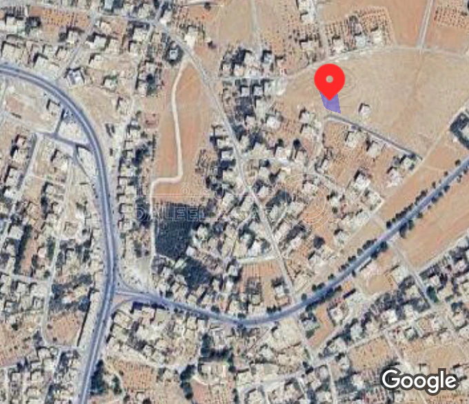 أرض في محافظة مادبا / لواء ذيبان /قضاء مليح  - 25,000 دأ - صورة 1