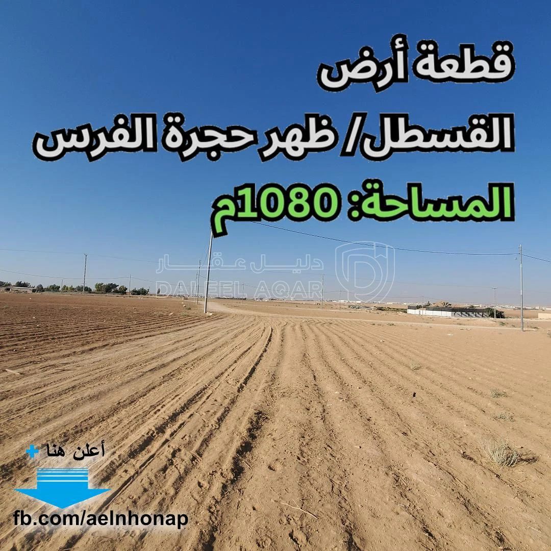 أرض في القسطل - ظهر حجرة الفرس - قرب مسجد الدعوة - 90,000 دأ - صورة 1