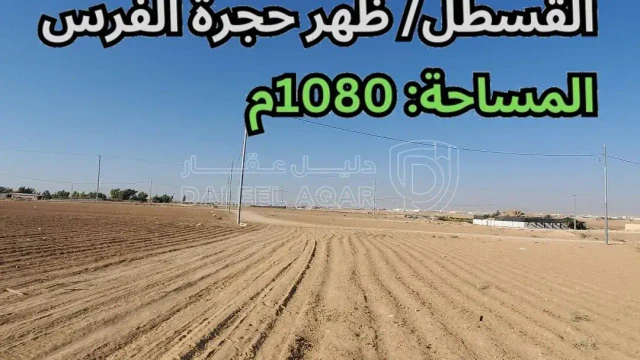 أرض - القسطل - ظهر حجرة الفرس - قرب مسجد الدعوة - 90000 دأ