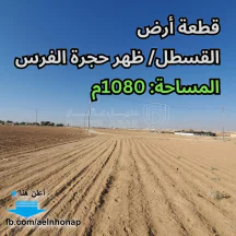 أرض - القسطل - ظهر حجرة الفرس - قرب مسجد الدعوة - 90000 دأ