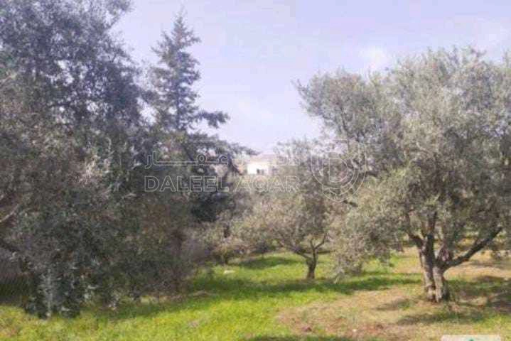 أرض في 🟡📌أرض للبيع بسعر مغري/اربد-بيت راس - 36,000 دأ - صورة 1