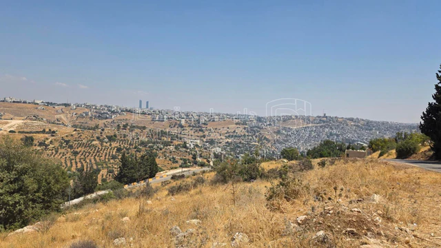 أرض في قطعة مميزة لبناء قصر او كومباوند فلل مميز  - 1,300,000 دأ - صورة NaN