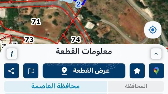 أرض في قطعة مميزة لبناء قصر او كومباوند فلل مميز  - 1,300,000 دأ - صورة NaN