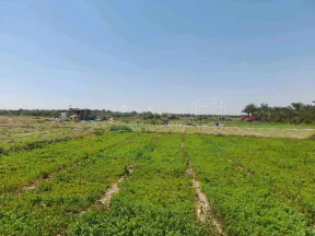أرض في الاغوار - منطقة الكرامة  - 102,921 دأ - صورة NaN