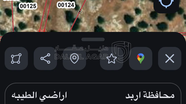 أرض في اربد/لواء الطيبه/ زبدا الوسطية - 20,000 دأ - صورة 1