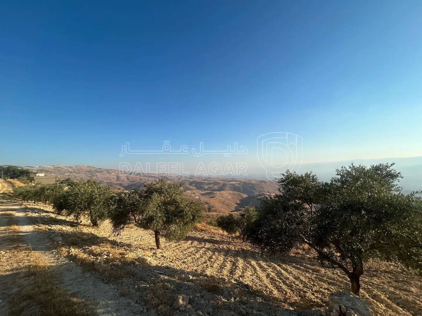 أرض في فرصة استثمارية مميزة – أرض للبيع في ميسرا الغربية - 85,000 دأ - صورة 1