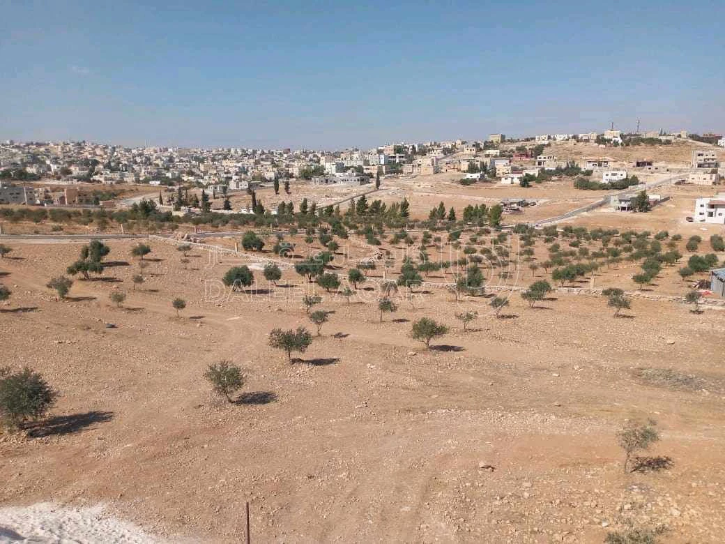 أرض في المفرق أم النعام منشية بني حسن  - 120,000 دأ - صورة 1