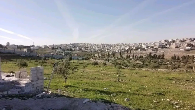 أرض في المفرق أم النعام منشية بني حسن  - 120,000 دأ - صورة 1