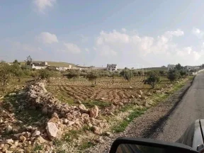 أرض في المفرق أم النعام منشية بني حسن  - 120,000 دأ - صورة NaN