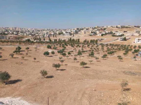 أرض في المفرق أم النعام منشية بني حسن  - 120,000 دأ - صورة NaN