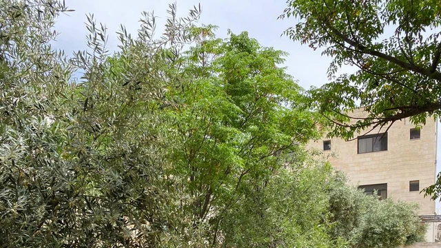 فيلا/منزل في طارق بالقرب من مسجد حذيفه بن اليمان - 300,000 دأ - صورة NaN