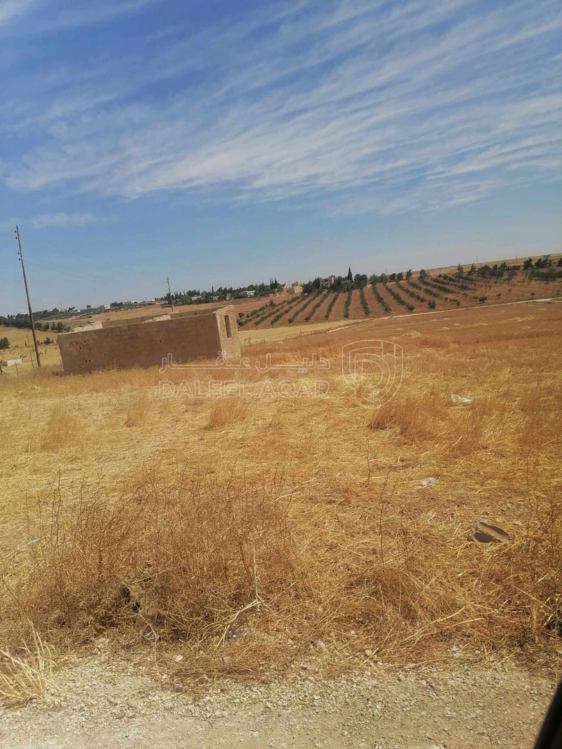 أرض في نتل جنوب عمان - 33,000 دأ - صورة 1