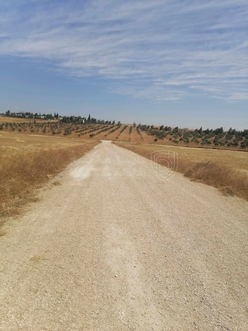 أرض في نتل جنوب عمان - 33,000 دأ - صورة 1