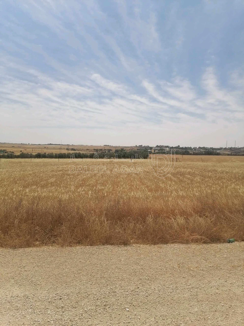 أرض في نتل جنوب عمان - 33,000 دأ - صورة 1