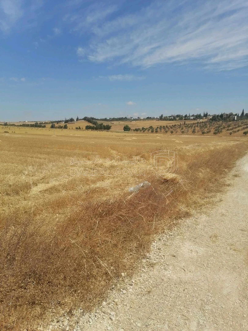 أرض في نتل جنوب عمان - 33,000 دأ - صورة 1
