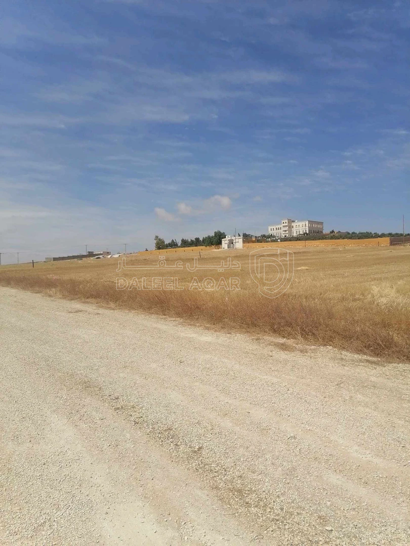 أرض في نتل جنوب عمان - 33,000 دأ - صورة 1