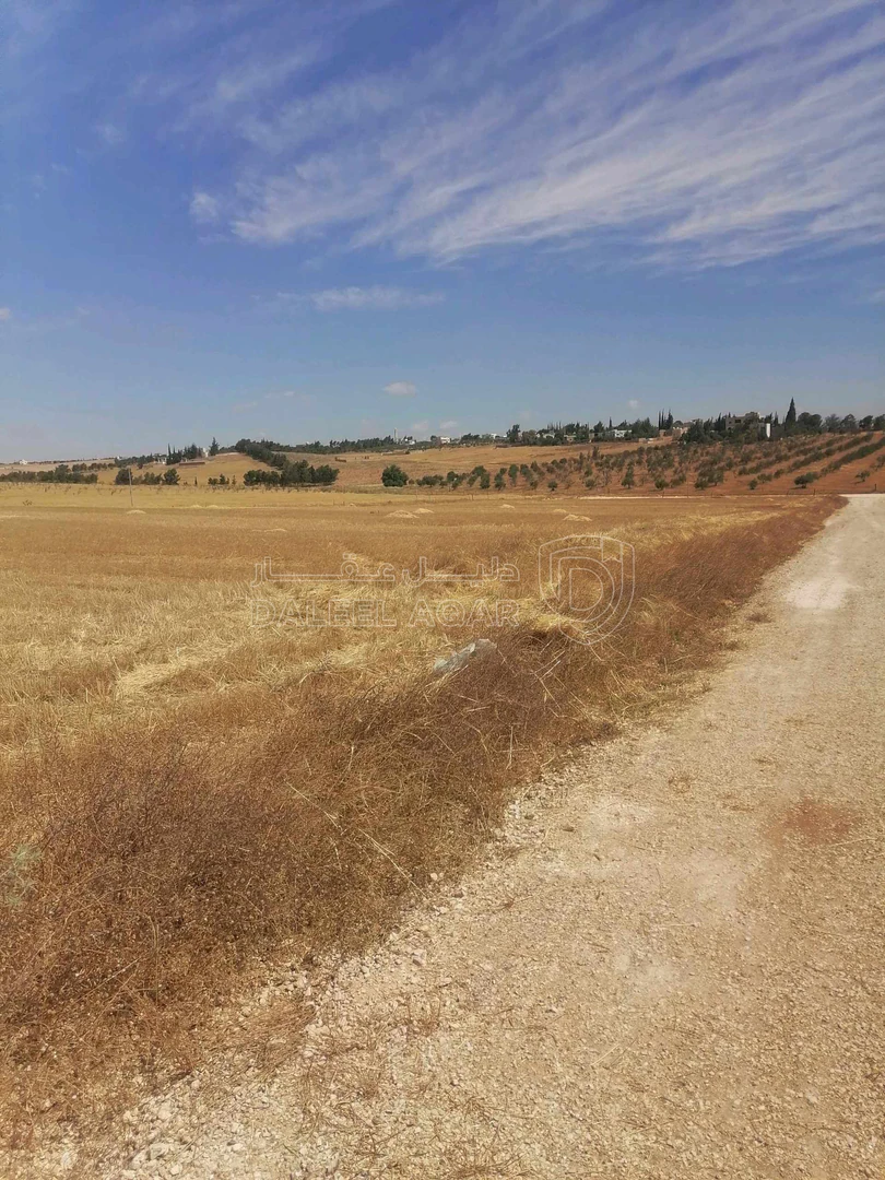 أرض في نتل جنوب عمان - 33,000 دأ - صورة 1