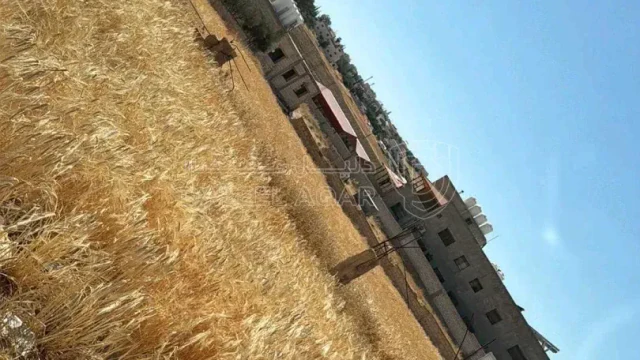 أرض - عمان اللبن مقابل مطعم كرم - 100000 دأ