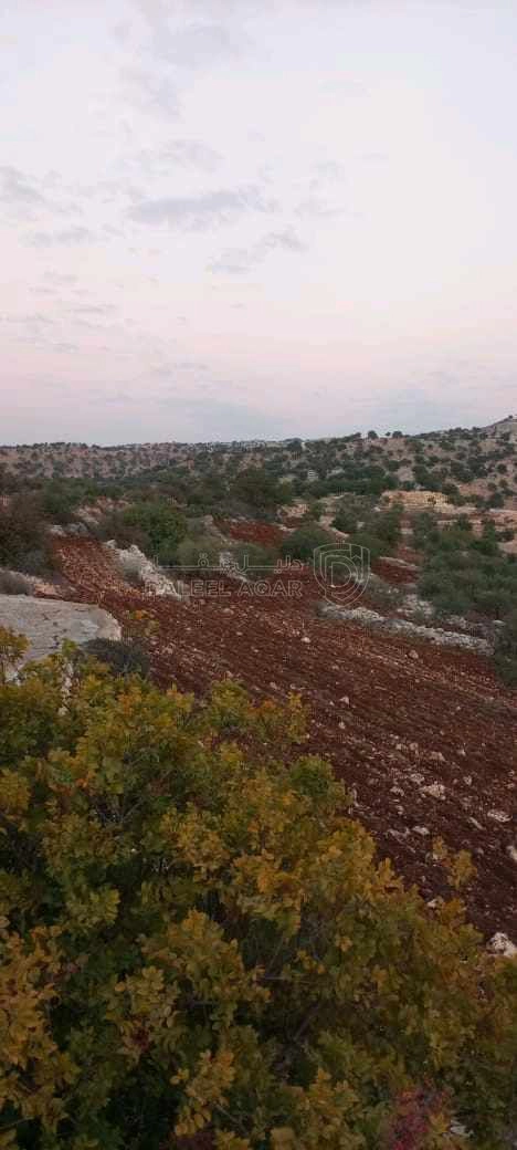أرض في الوهادنة بالقرب من دير الصمادية  - 100,000 دأ - صورة 1
