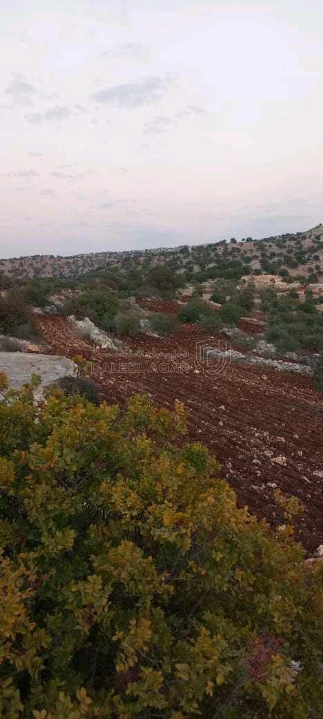 أرض في الوهادنة بالقرب من دير الصمادية  - 100,000 دأ - صورة 1