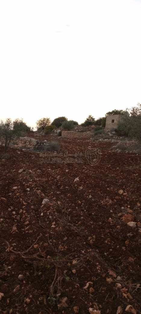 أرض في الوهادنة بالقرب من دير الصمادية  - 100,000 دأ - صورة 1