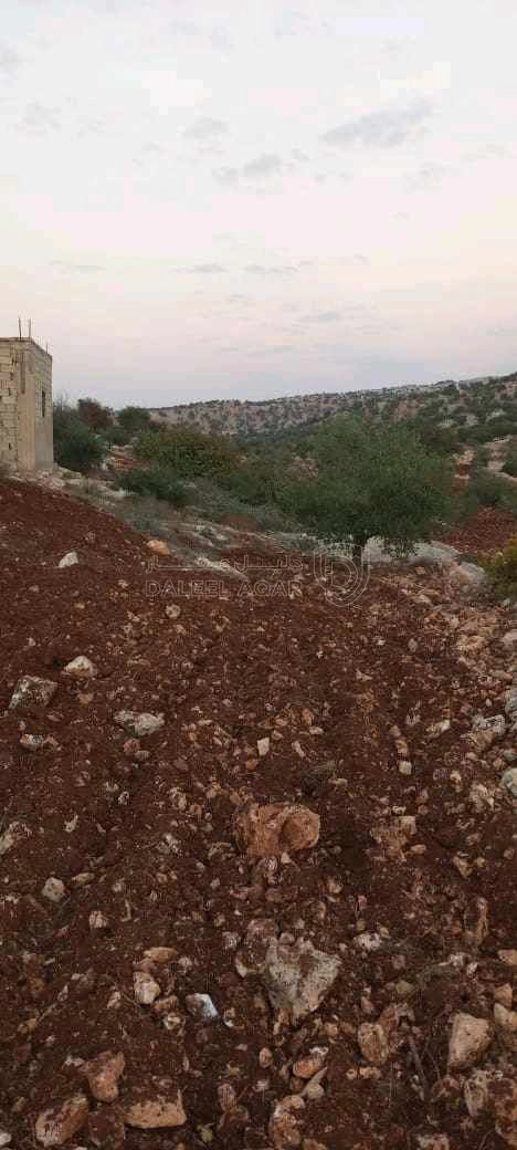 أرض في الوهادنة بالقرب من دير الصمادية  - 100,000 دأ - صورة 1