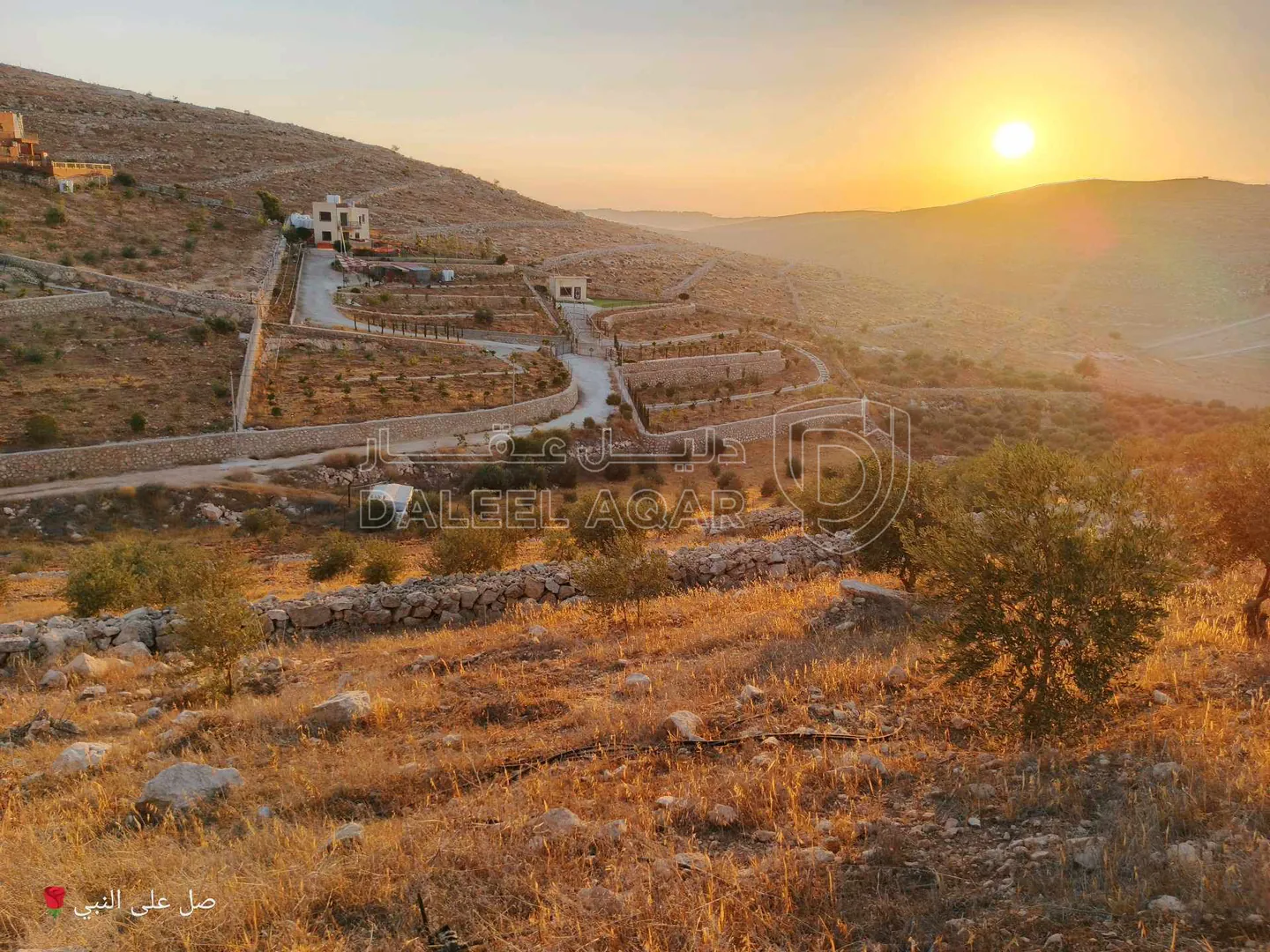 أرض في أرض للبيع شرق جرش دحل/المفرق  - 20,000 دأ - صورة 1