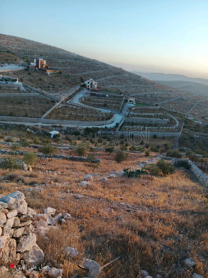 أرض في أرض للبيع شرق جرش دحل/المفرق  - 20,000 دأ - صورة 1