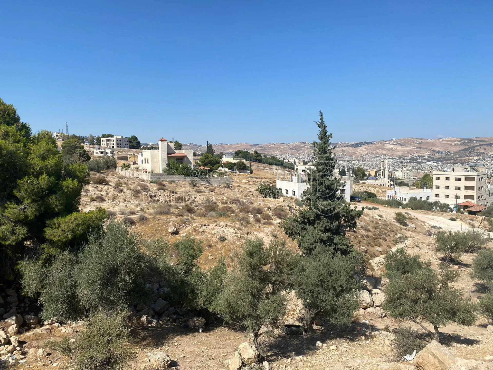 أرض في عمان أبو نصير - 75,000 دأ - صورة 1