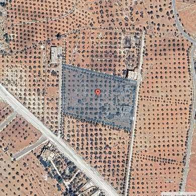 أرض في ناعور/ أم القطين - تبعد 800م عن مسجد الفاروق - 473,670 دأ - صورة 1