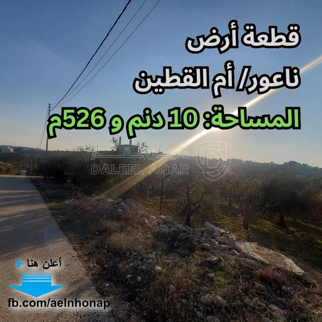أرض في ناعور/ أم القطين - تبعد 800م عن مسجد الفاروق - 473,670 دأ - صورة 1