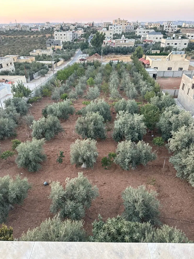 أرض في عمان جاوا (الحي جدول الاحياء ) قطعة ارض على شارعين - 75,000 دأ - صورة 1