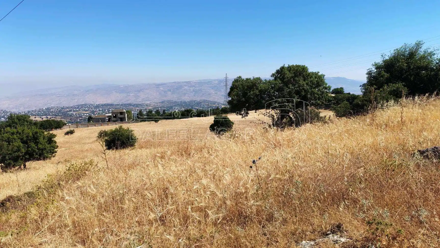 أرض في السلط زي بقرب منتزه زي القومي - 110,000 دأ - صورة 1