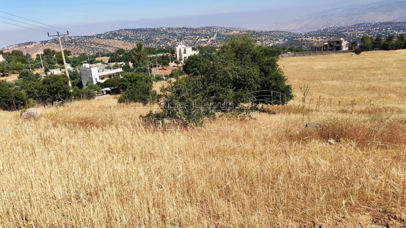 أرض في السلط زي بقرب منتزه زي القومي - 110,000 دأ - صورة 1