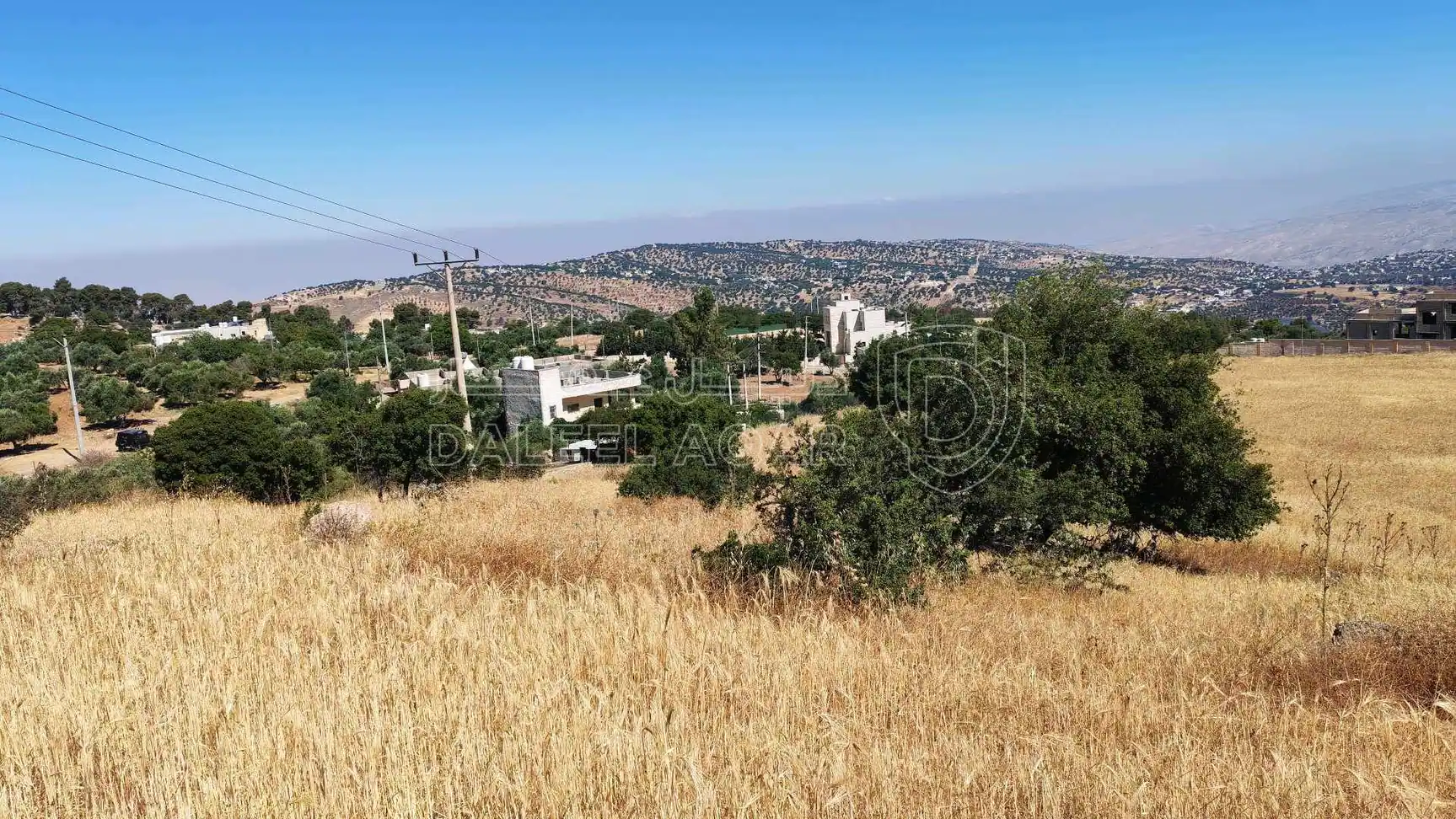 أرض في السلط زي بقرب منتزه زي القومي - 110,000 دأ - صورة 1