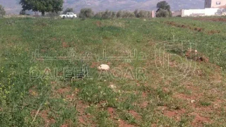 أرض - السلط الصبيحي منطقة بيوضه الشرقيه  - 180000 دأ