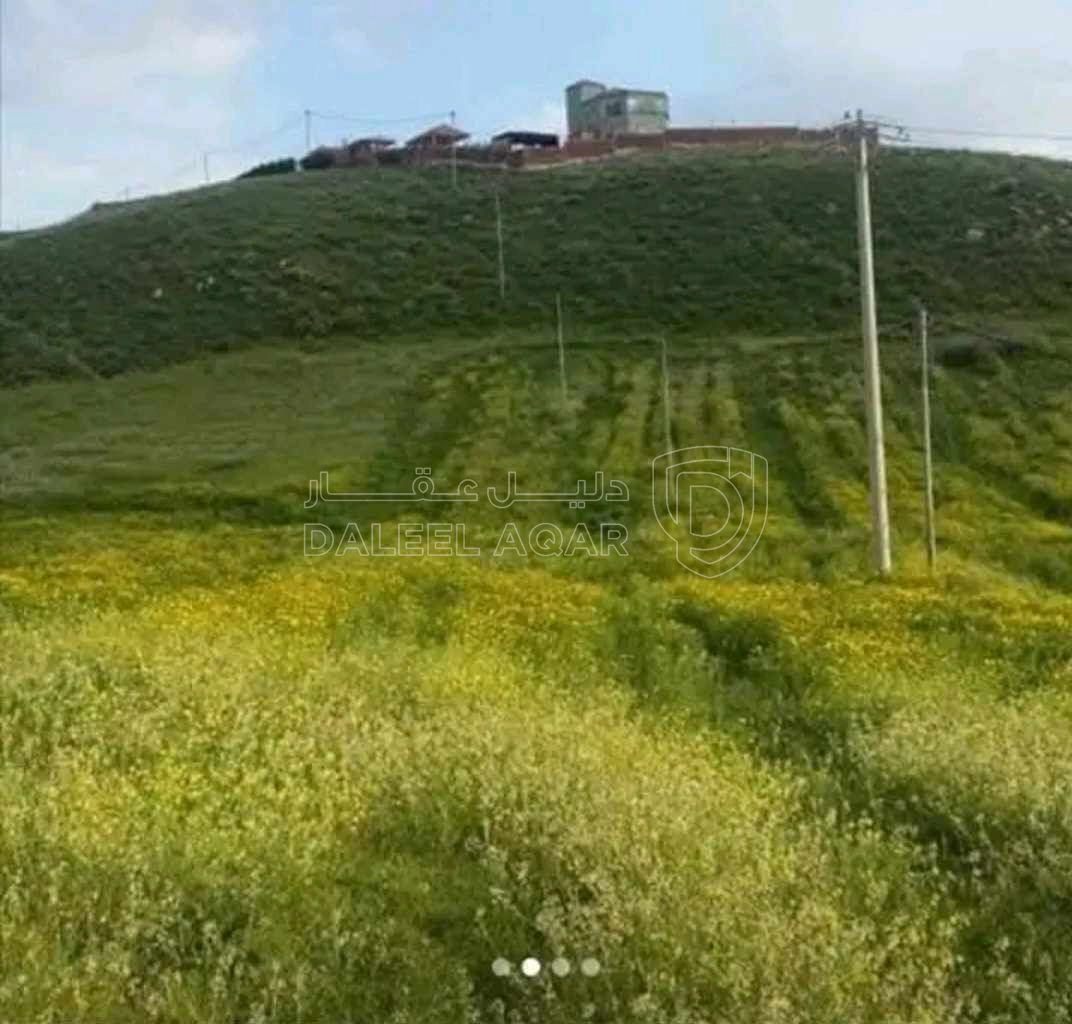 أرض في الغور وادي الريان الشونة الشماليه - 90,000 دأ - صورة 1