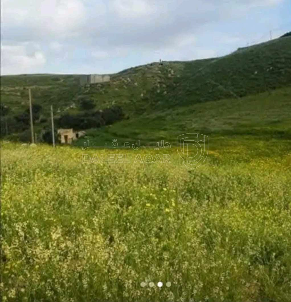 أرض في الغور وادي الريان الشونة الشماليه - 90,000 دأ - صورة 2