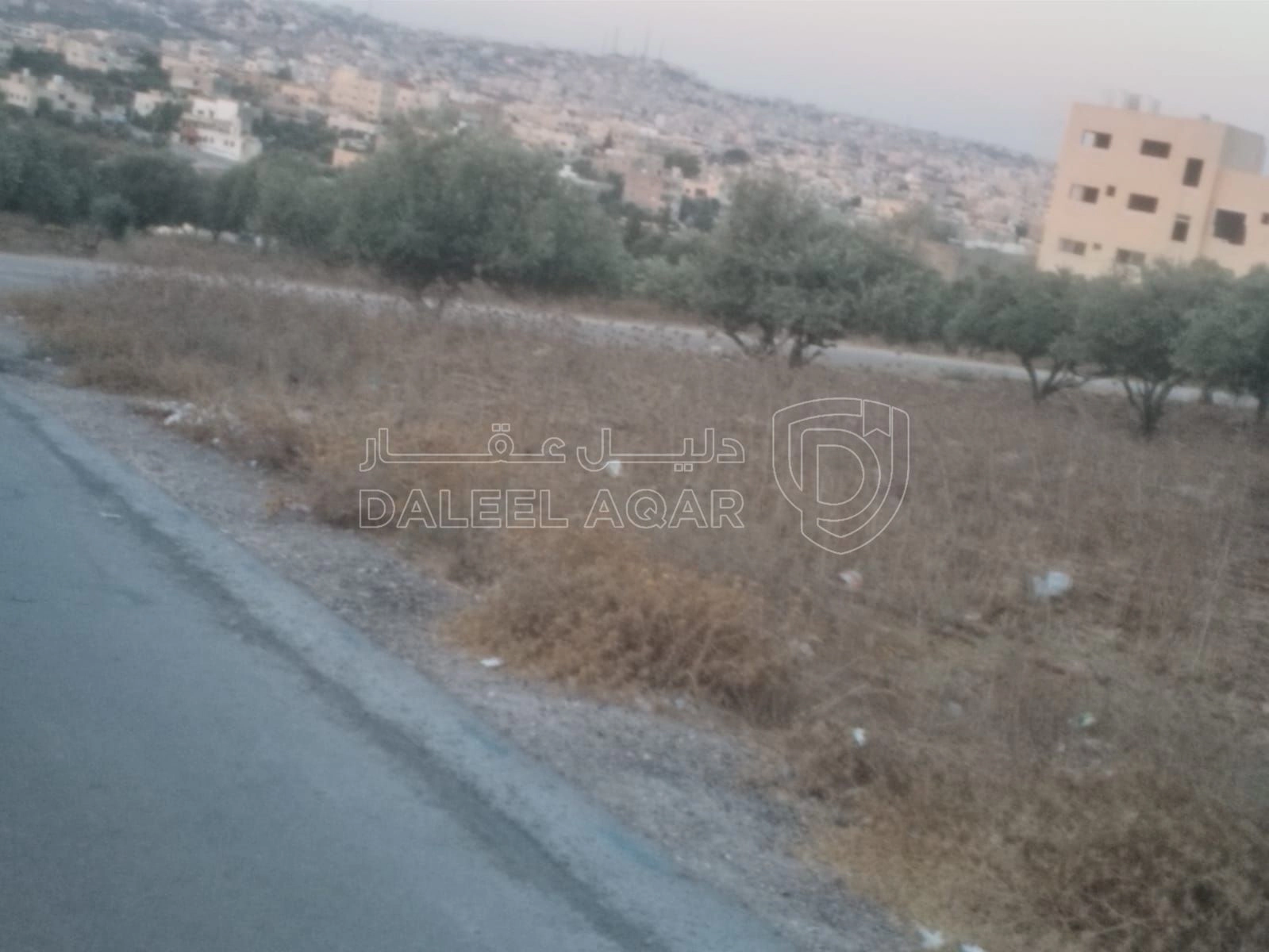 أرض في البارحه أبان قرب مسجد أبان بن عثمان - 55,000 دأ - صورة 1