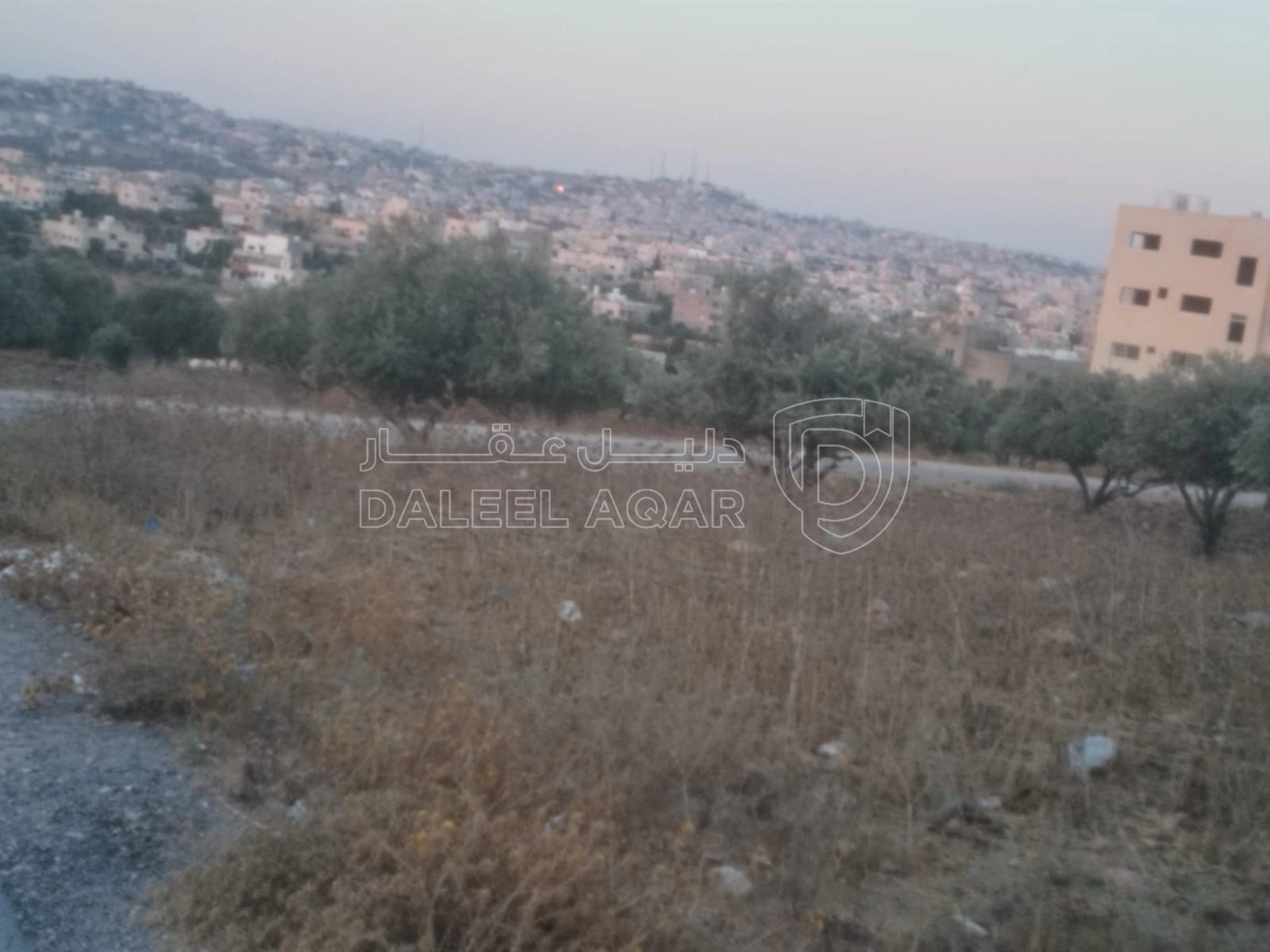 أرض في البارحه أبان قرب مسجد أبان بن عثمان - 55,000 دأ - صورة 1
