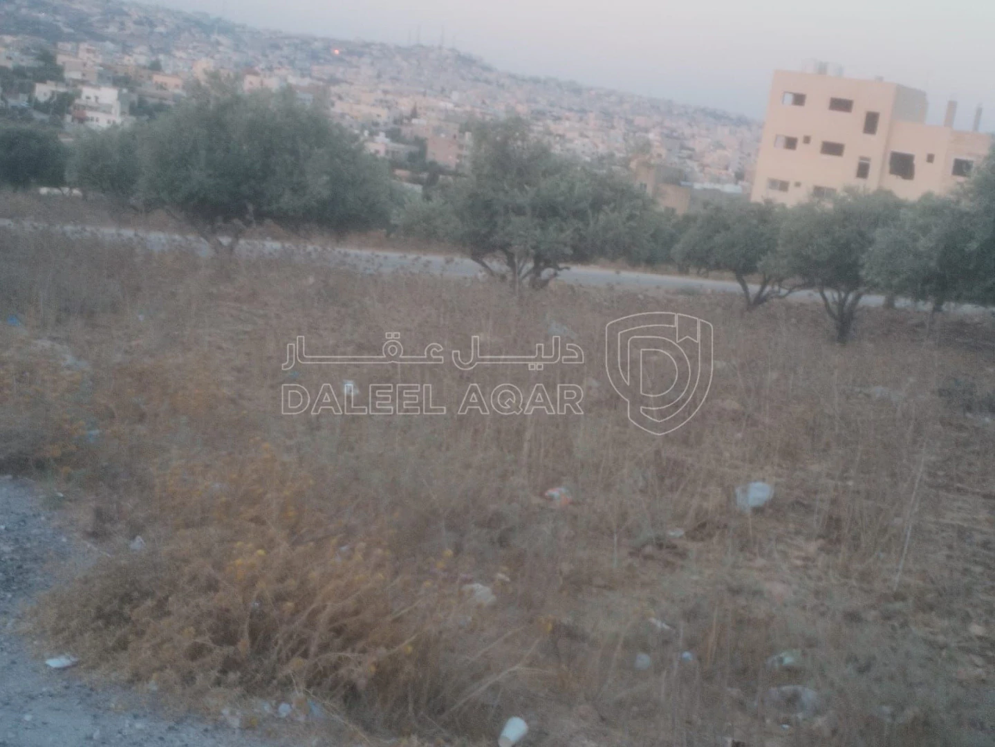 أرض في البارحه أبان قرب مسجد أبان بن عثمان - 55,000 دأ - صورة 1