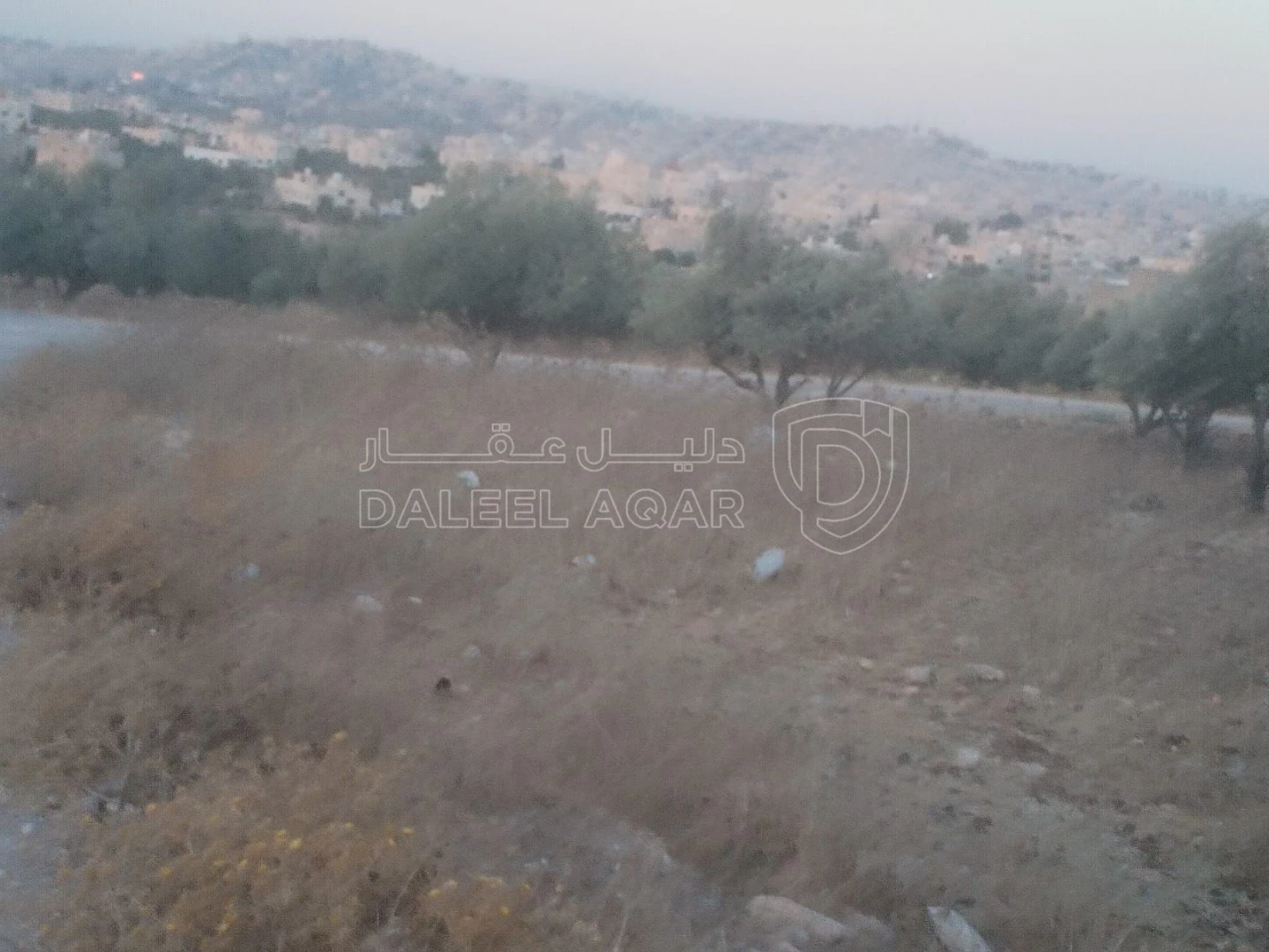 أرض في البارحه أبان قرب مسجد أبان بن عثمان - 55,000 دأ - صورة 1