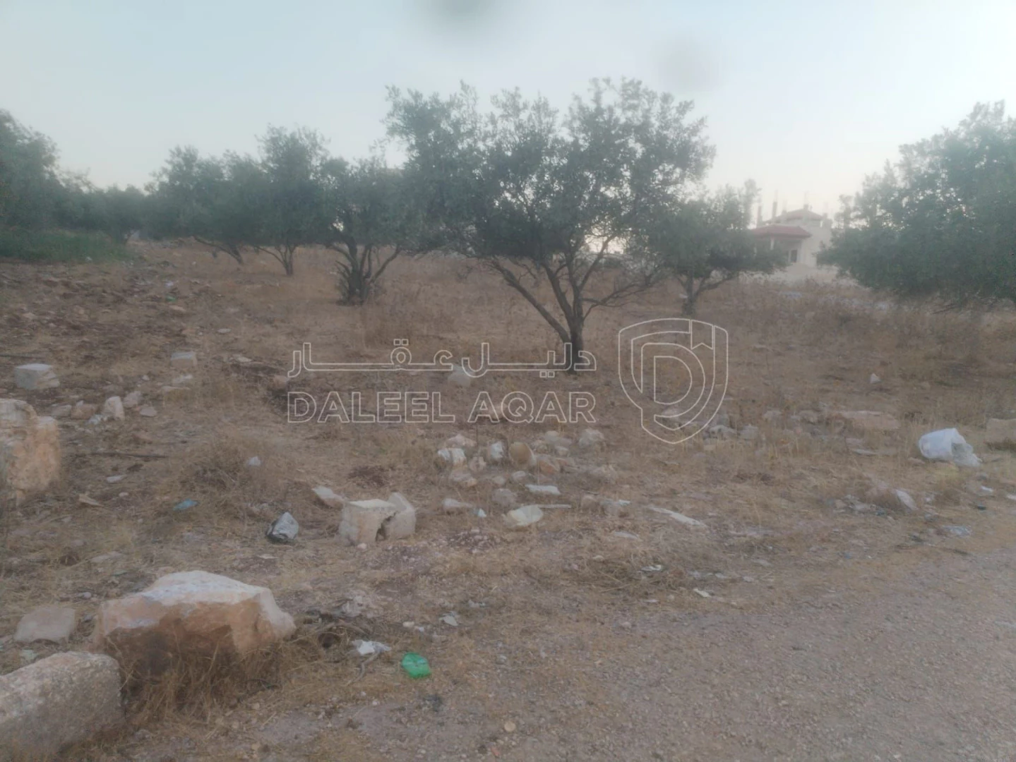 أرض في البارحه أبان قرب مسجد أبان بن عثمان - 55,000 دأ - صورة 1