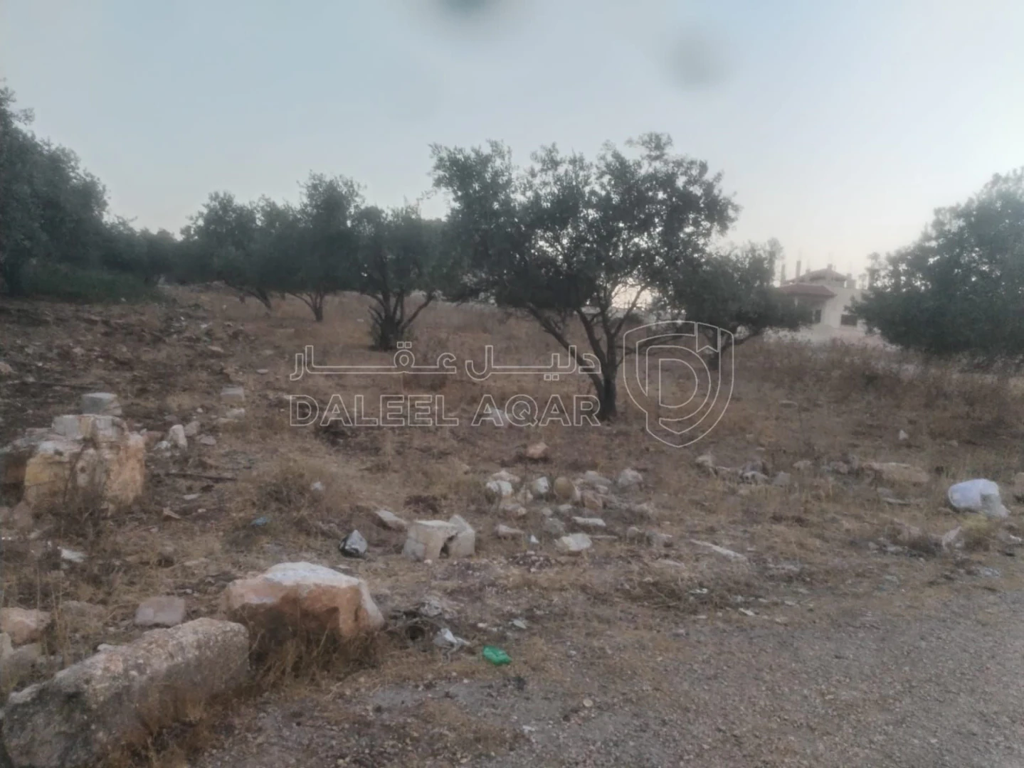أرض في البارحه أبان قرب مسجد أبان بن عثمان - 55,000 دأ - صورة 1