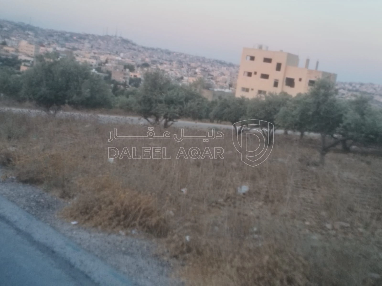 أرض في البارحه أبان قرب مسجد أبان بن عثمان - 55,000 دأ - صورة 1