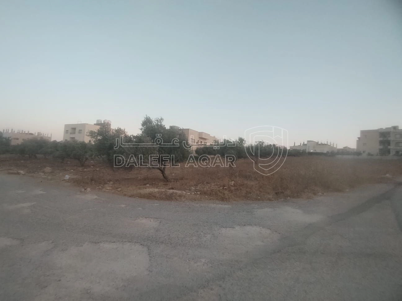 أرض في البارحه أبان قرب مسجد أبان بن عثمان - 55,000 دأ - صورة 1