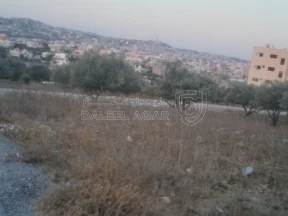 أرض في البارحه أبان قرب مسجد أبان بن عثمان - 55,000 دأ - صورة NaN
