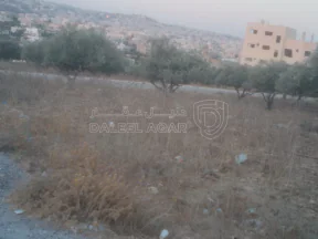 أرض في البارحه أبان قرب مسجد أبان بن عثمان - 55,000 دأ - صورة NaN